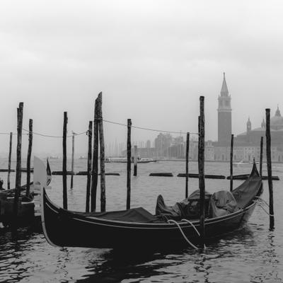DSC_2431-2.jpg
