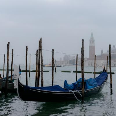 DSC_2431.jpg