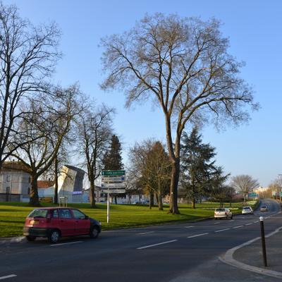 DSC_4198.JPG