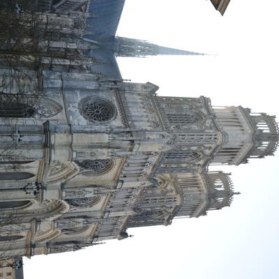 DSC_4220.JPG