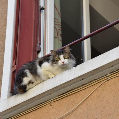DSC_4291.JPG