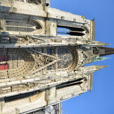 DSC_4381.JPG