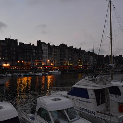 DSC_4442.JPG