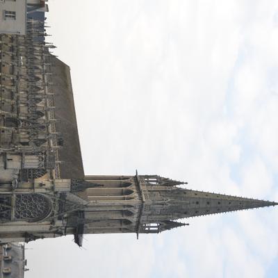 DSC_4460.JPG