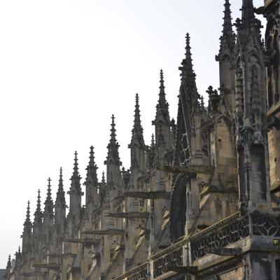 DSC_4480.JPG
