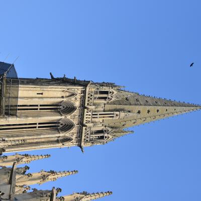 DSC_4482.JPG