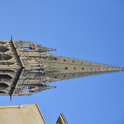 DSC_4485.JPG