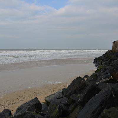 DSC_4637.JPG