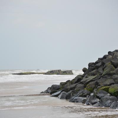 DSC_4640.JPG