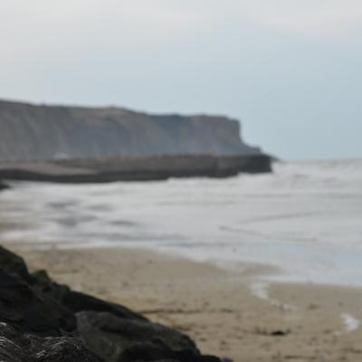 DSC_4656.JPG