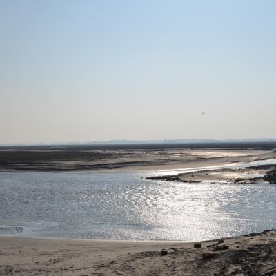 DSC_4711.JPG