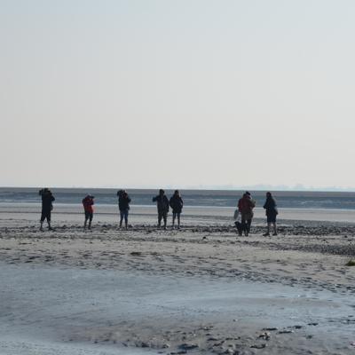 DSC_4716.JPG
