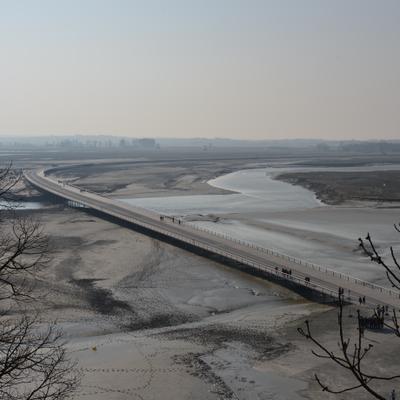 DSC_4741.JPG