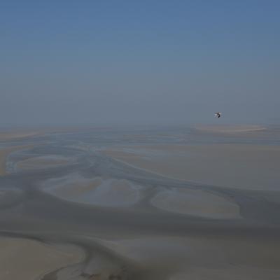 DSC_4765.JPG