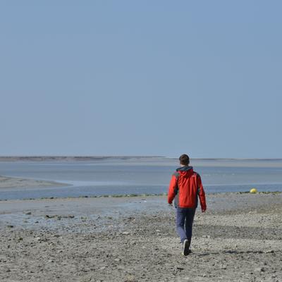 DSC_4804.JPG