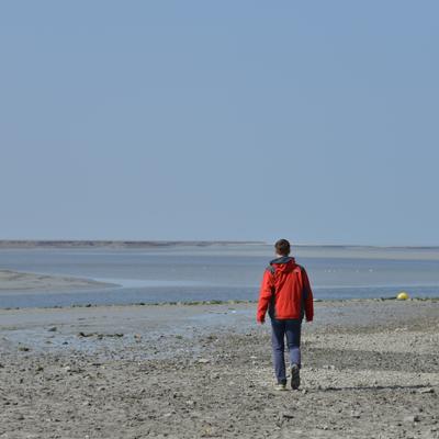 DSC_4805.JPG