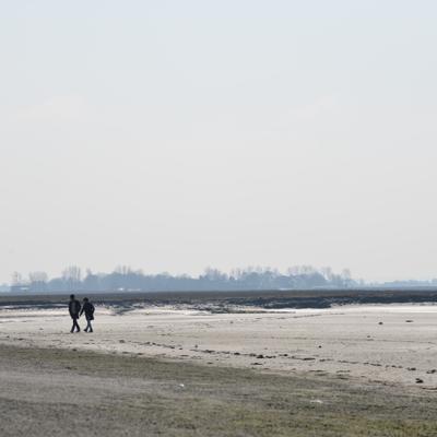 DSC_4808.JPG
