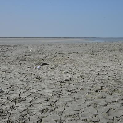 DSC_4812.JPG
