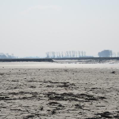 DSC_4813.JPG