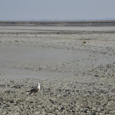 DSC_4814.JPG