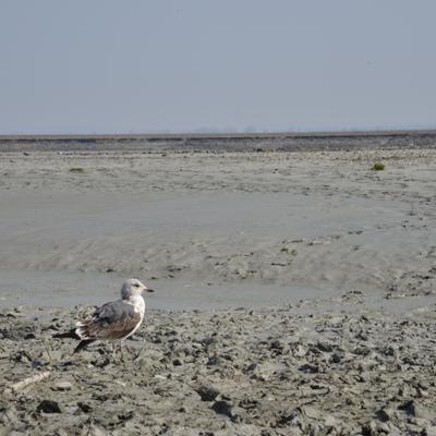 DSC_4815.JPG