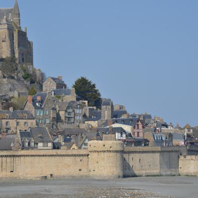 DSC_4825.JPG