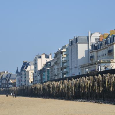 DSC_4859.JPG