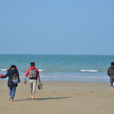 DSC_4860.JPG