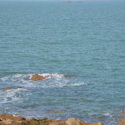 DSC_4949.JPG