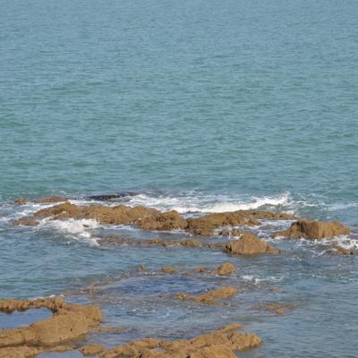 DSC_4950.JPG