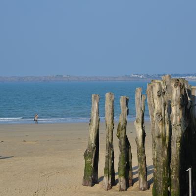 DSC_4958.JPG