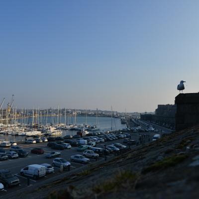 DSC_4978.JPG