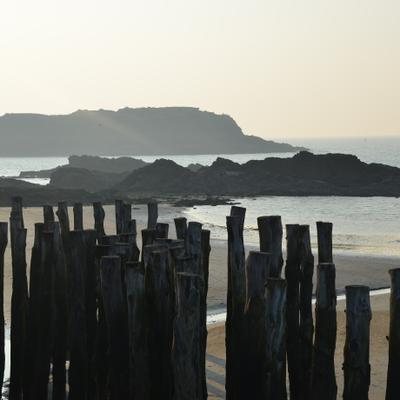 DSC_4989.JPG