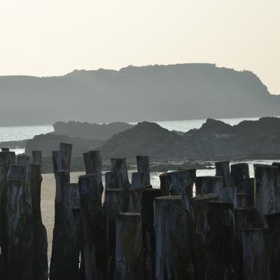 DSC_4990.JPG