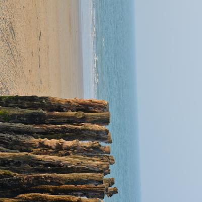 DSC_4996.JPG