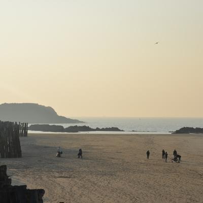DSC_5003.JPG