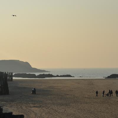 DSC_5004.JPG