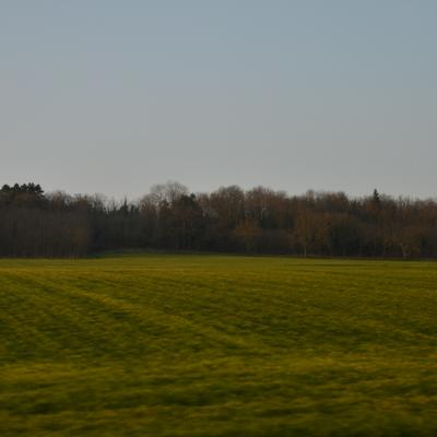 DSC_5077.JPG