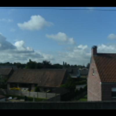 DSC_1539.NEF