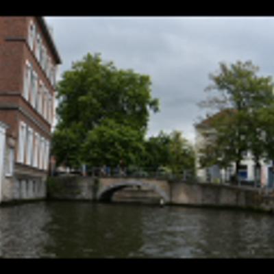 DSC_1563.NEF