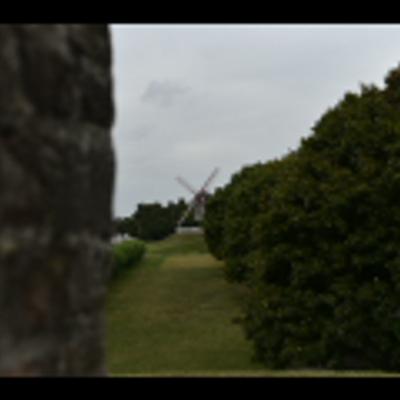 DSC_1582.NEF