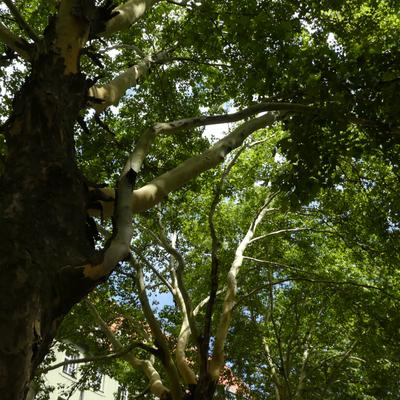 P1000039.JPG