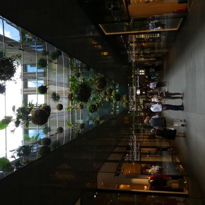P1000060.JPG