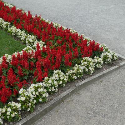 P1000069.JPG