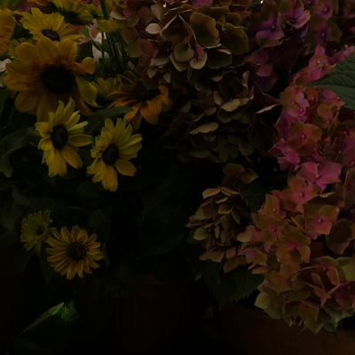 P1000134.JPG