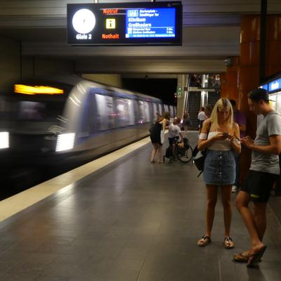 P1000273.JPG