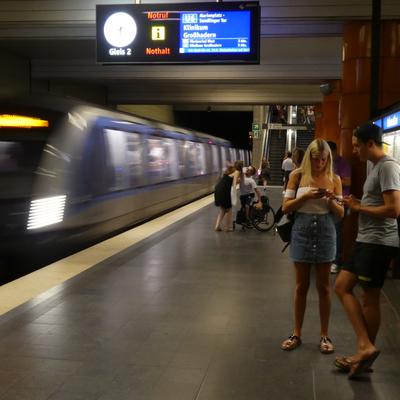 P1000274.JPG