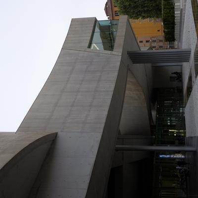 _DSF5562.JPG