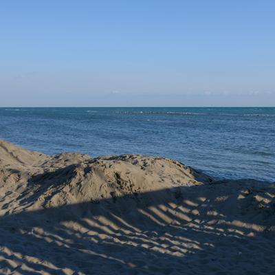 DSC_0475.jpg