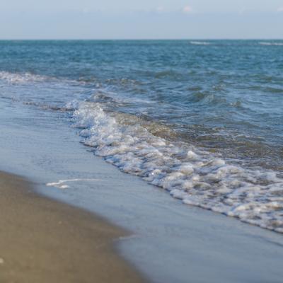 DSC_0481.jpg